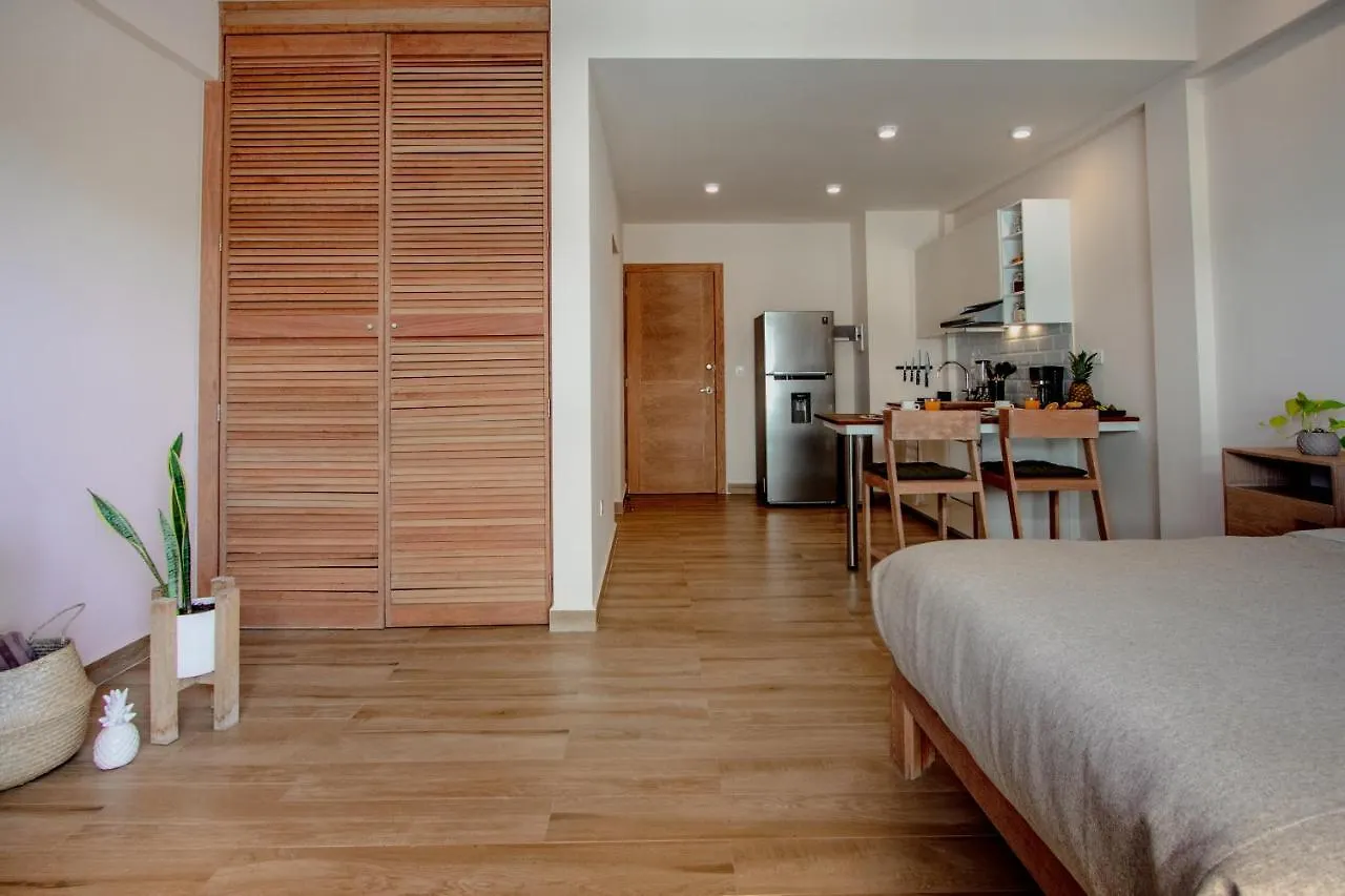 Condos With Ocean View Pool In Av 10 & 60 Street Playa del Carmen 0*,
